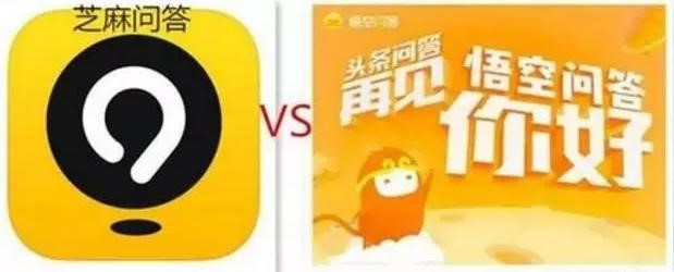 芝麻问答怎么赚钱？芝麻问答和悟空问答有什么区别