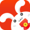 小兔豪