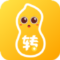 花生转