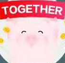 赚赚猪