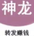 神龙资讯