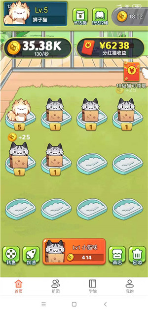 分红猫