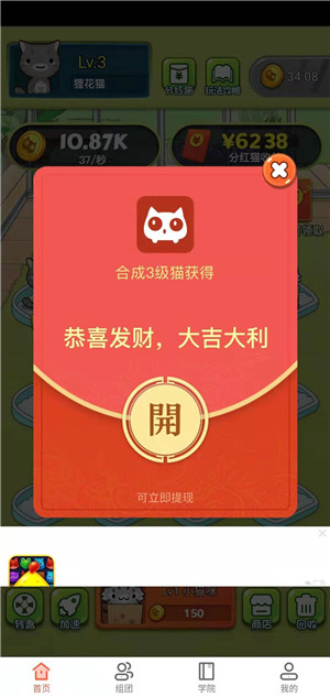 分红猫