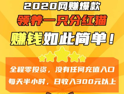 神猫侠侣养成分红游戏怎么玩？神猫侠侣玩法攻略介绍