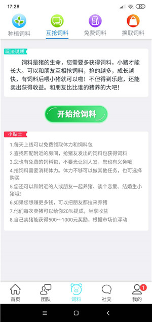 全民养猪截图