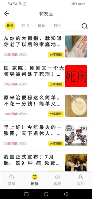 荷花网