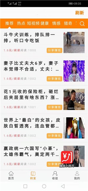 金心网截图