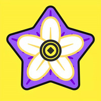 星辰花