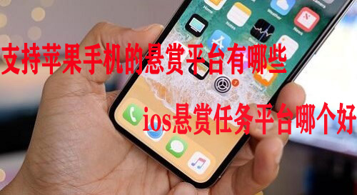支持苹果手机的悬赏平台有哪些-ios悬赏任务平台哪个好