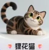 必得·狸花猫